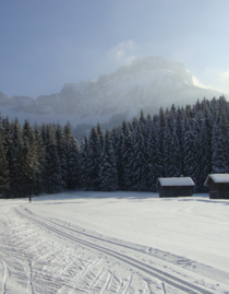 Cross-country skiing + huts
 Blaa Alm