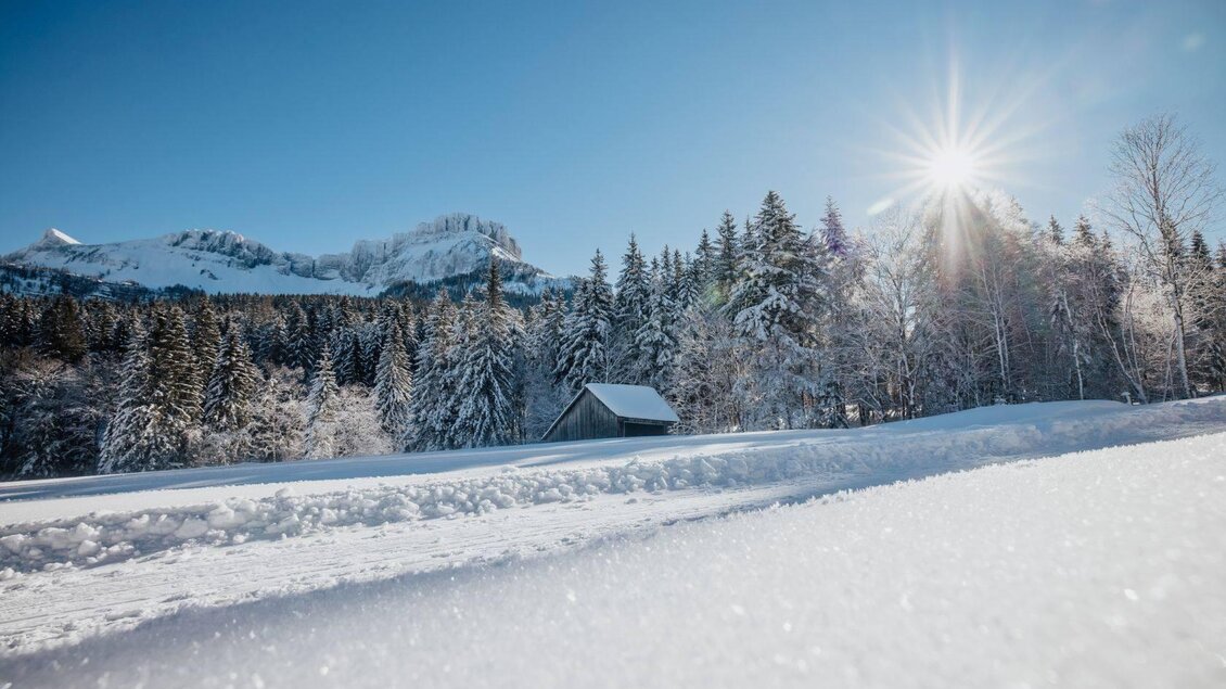 Eine winterliche Landschaft mit schneebedeckten Bäumen und Bergen im Hintergrund. Die Sonne scheint klar am blauen Himmel. | © TVB Ausseerland Salzkammergut_Katrin Kerschbaumer