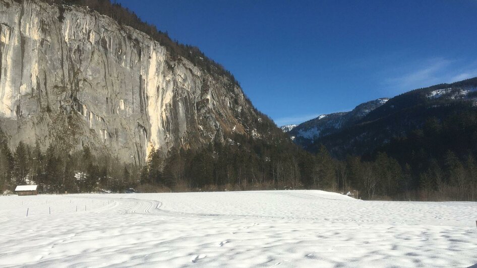 Langlaufen, Grundlsee, Gösslerwiese | © Waltraud Loitzl