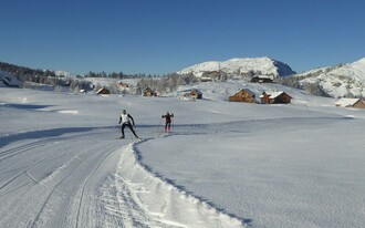 Cross country skiing on the Tauplitzalm | © TVB Ausseerland Salzkammergut/Fuchs