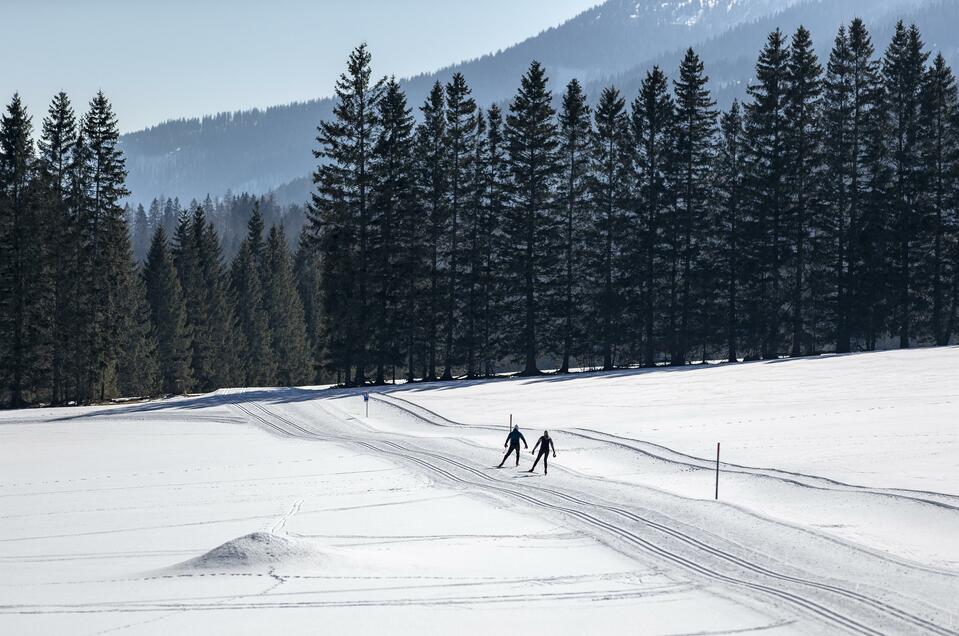 Langlaufloipe St. Marein-Feistritz - Impression #1 | © Thomas Lamm