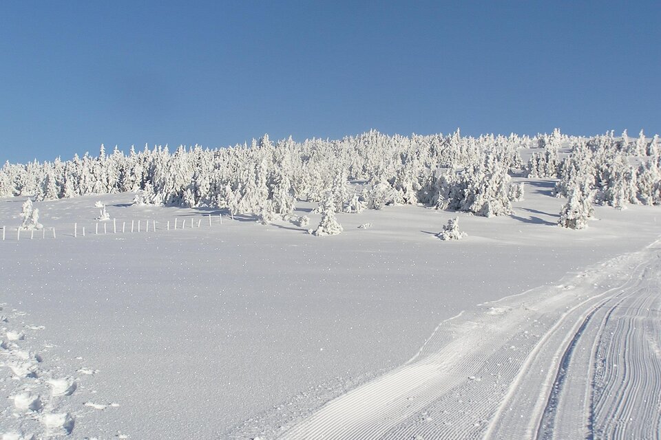 Langlauf- und Rodelverleih Rabl-Kreuz Hütte - Impression #1 | © Tourismusverband Oststeiermark