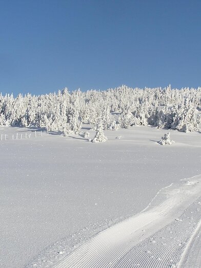 Rabl-Kreuz Hütte_Langlaufloipe_Oststeiermark | © Tourismusverband Oststeiermark | © Tourismusverband Oststeiermark