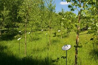 Covenant trees | © Rogner Bad Blumau