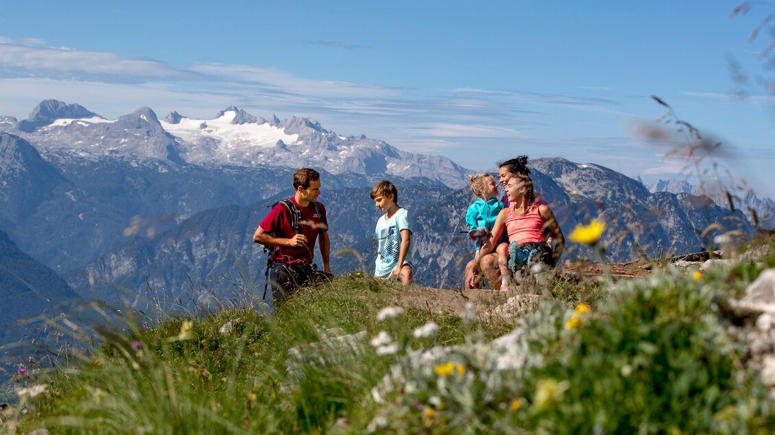 Eine Gruppe von Kindern und Erwachsenen wandert durch die schöne Berglandschaft mit blühenden Wiesen am Loser in Altaussee. Im Hintergrund ist der schneebedeckte Gletscher des Dachstein zu sehen. | © TVB Ausseerland-Salzkammergut/Tom Lamm