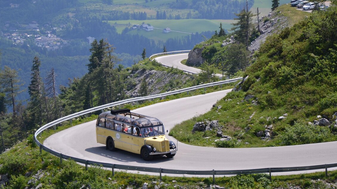 Ein gelber Oldtimer-Bus fährt die kurven- und aussichtsreiche Panoramastraße auf den Loser hinauf, den Hausberg der Altausseer. Im Hintergrund sind die sommerlichen grünen Wiesen und Berge des Ausseerlandes zu sehen. | © Loser Bergbahnen