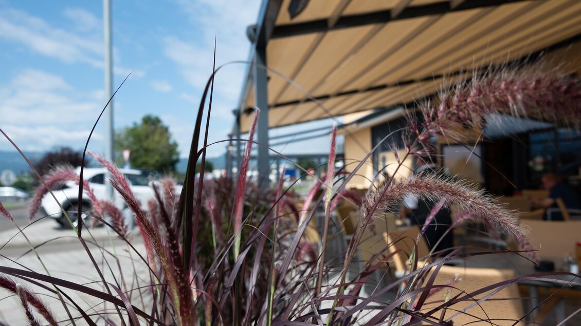 Eine Terrasse eines Cafés mit Pflanzen im Vordergrund. Im Hintergrund sind Gäste und ein Auto zu sehen. | © M-Rast