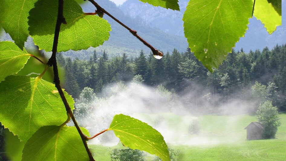 Dampfende Wiese | © TVB Ausseerland