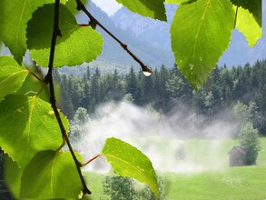 Dampfende Wiese | © TVB Ausseerland - Salzkammergut_Eva Griese