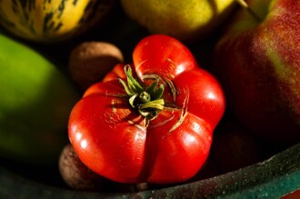 Sujetfoto Tomate | © Thermen- & Vulkanland