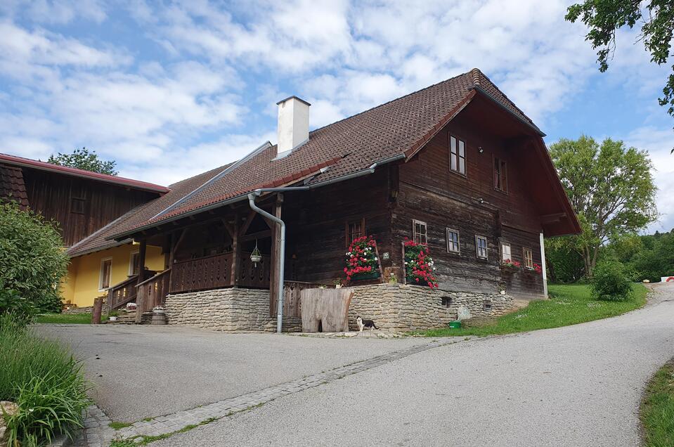 Cider tavern Pichlbauer vlg. Steffl - Impression #1 | © Oststeiermark Tourismus