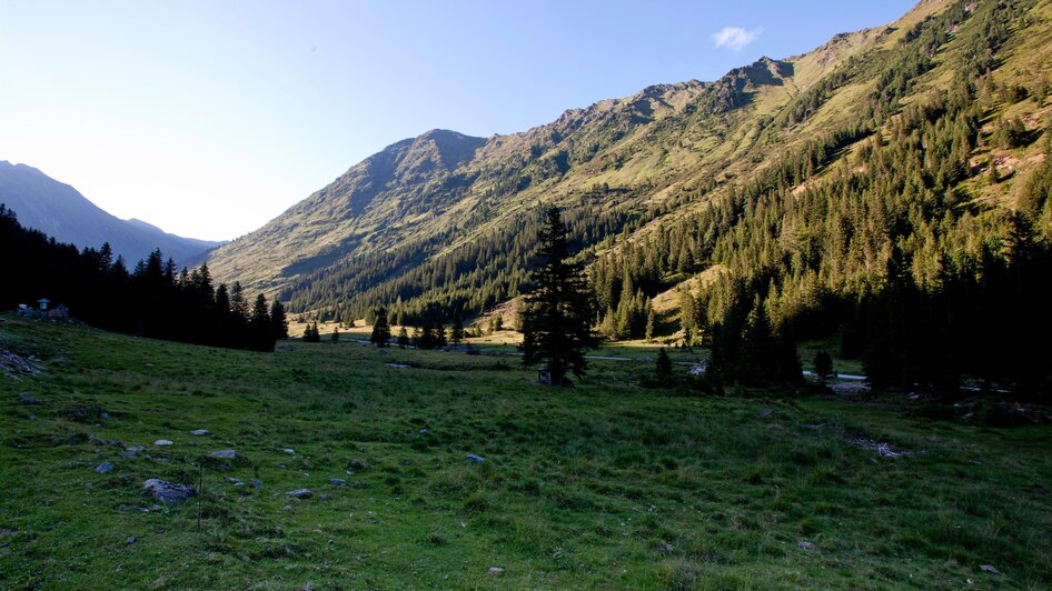 Wanderweg Eselsberger Alm | © Holzwelt Murau