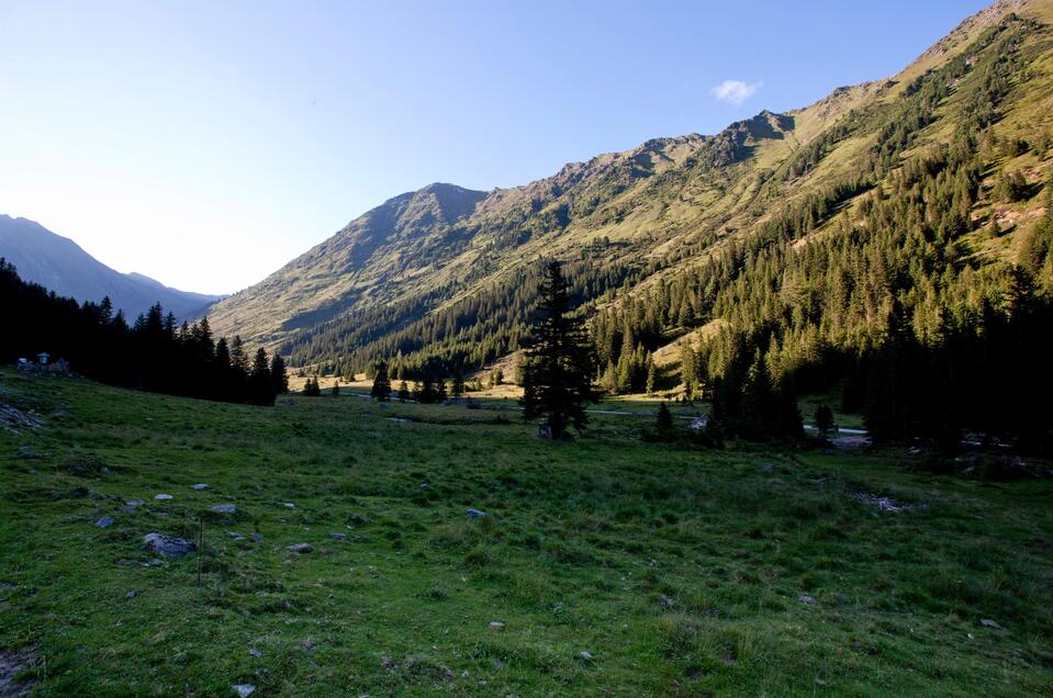 Natur & Holz auf der Alm - Wanderweg Eselsberger Alm - Impression #1 | © Holzwelt Murau