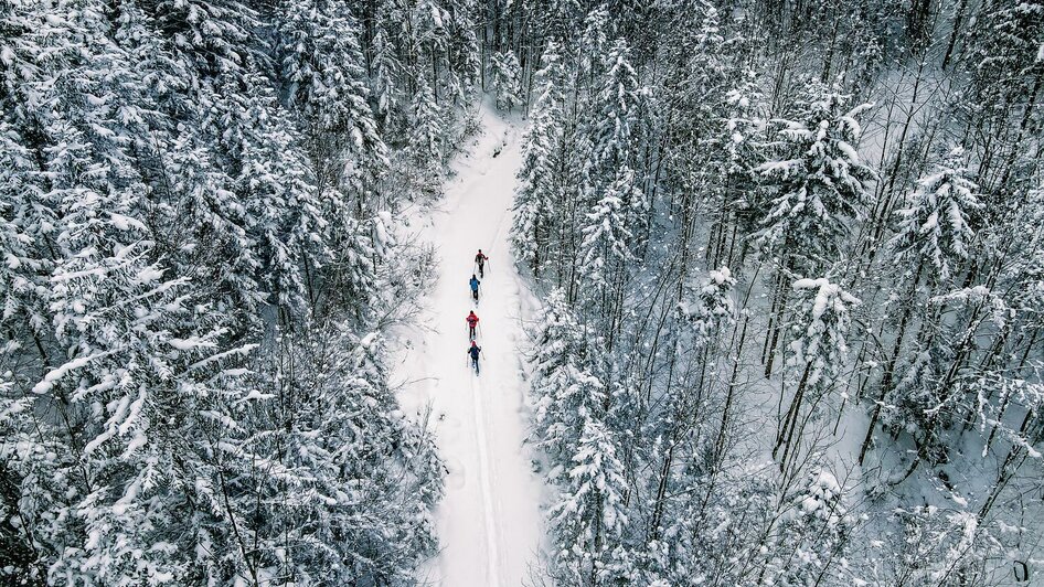 Winterwald im Natur- und Geopark | © Thomas Sattler