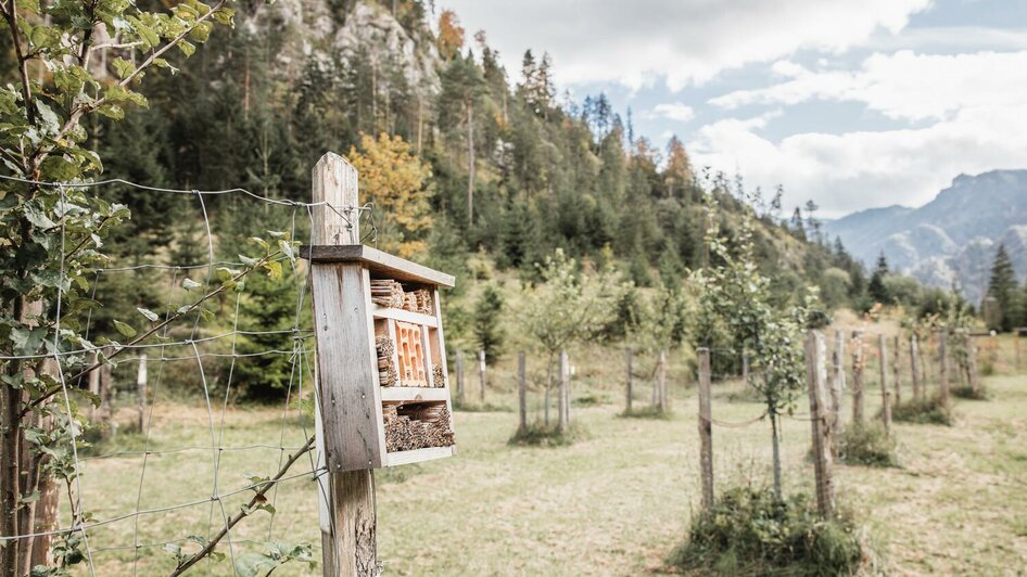 Streuobstwiesen im Natur- und Geopark | © Thomas Sattler