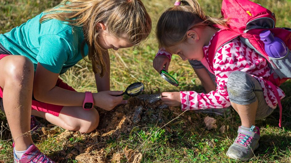 NaturLese-Wanderung sind auch spannend für Kinder | © Tourismusverband Murau