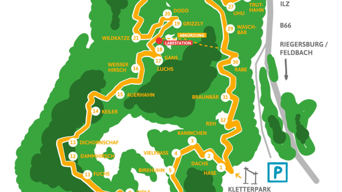 3D Bogenparcour Riegersburg | © Naturbursch Training Riegersburg