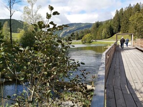 Moor nature trail_Exit_Eastern Styria  | © Tourismusverband Oststeiermark