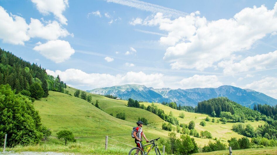 Mountainbiken im Naturpark Mürzer Oberland | © Naturpark Mürzer Oberland