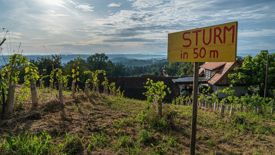 Sturm und Kastanien im Naturpark Südsteiermark | © RM SW GmbH | tinefotocom