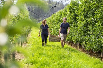 Obsthof Schneeflock_Im Obstgarten_Oststeiermark | © Obsthof Schneeflock