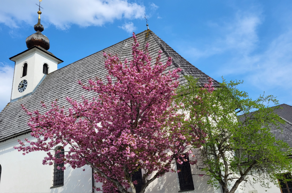 Pfarrkirche Tauplitz - Impression #1 | © TVB Ausseerland Salzkammergut/Kirchschlager