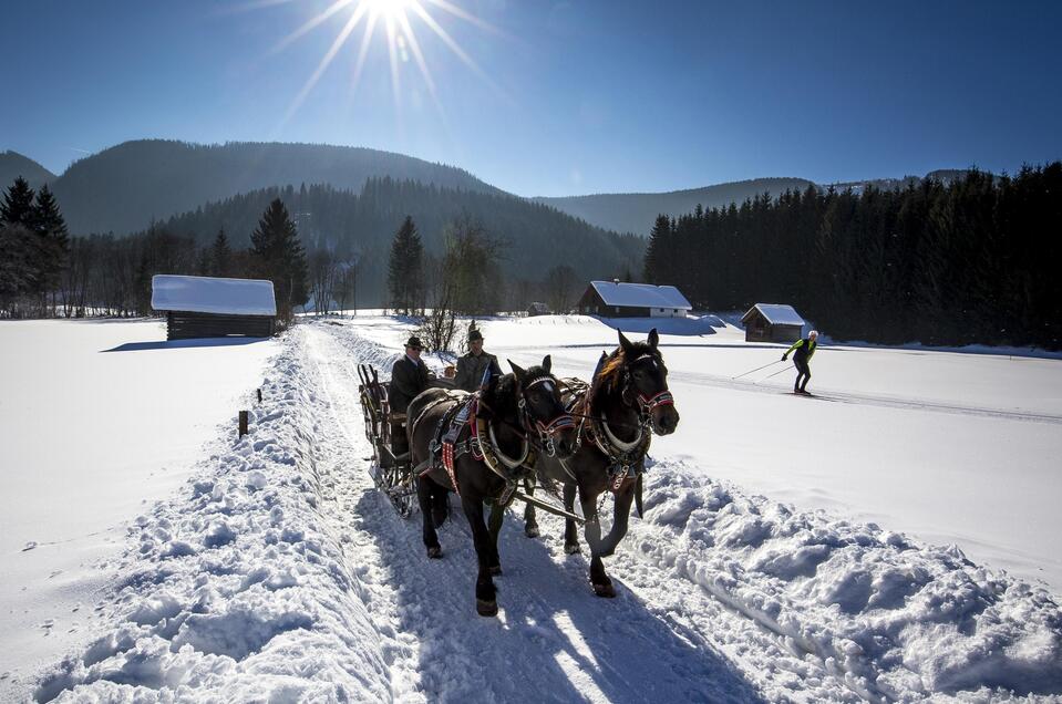 Pferdehof Dachsteinblick - Impression #1 | © TVB Ausseerland Salzkammergut/Tom Lamm