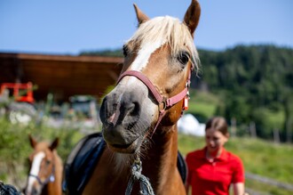 Reiten | © Tourismusverband Murau