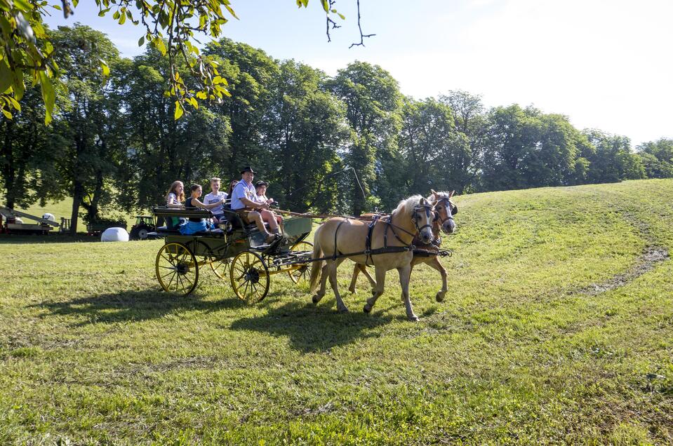 Pferdekutschenfahrt am Bauernhof Moar in Graslupp - Impression #1 | © Tourismusverband Murau