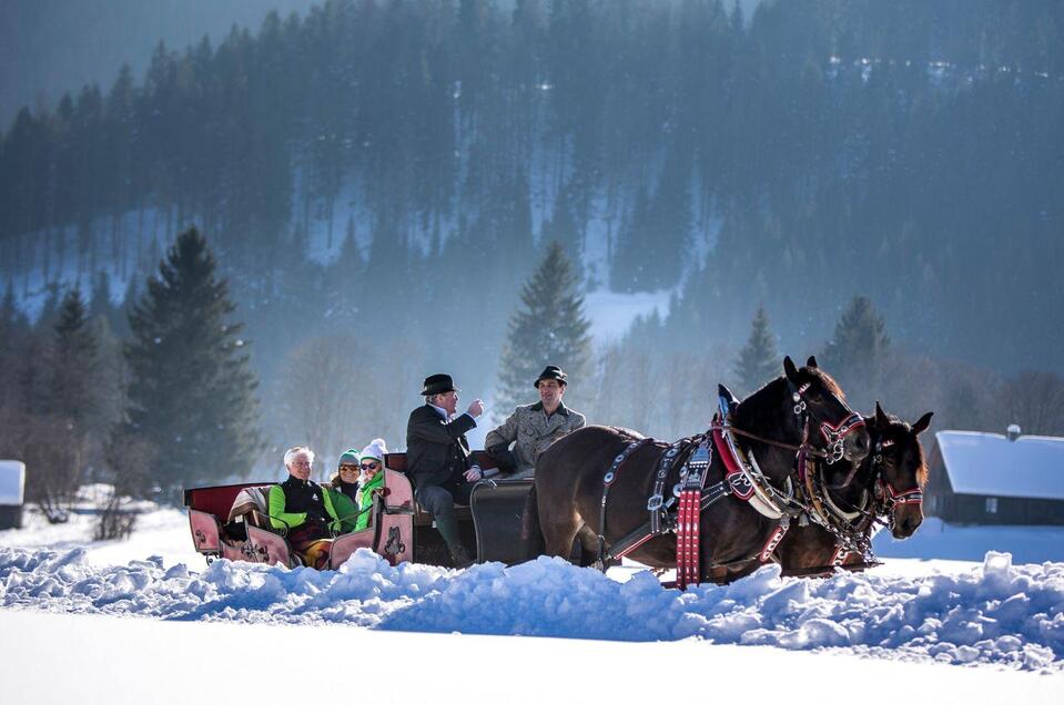 Pferdeschlitten- und Kutschenfahrten "Am Seebacherhof" - Impression #1 | © TVB Ausseerland Salzkammergut_Tom Lamm