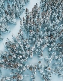 Winter im Gesäuse | Stefan Leitner