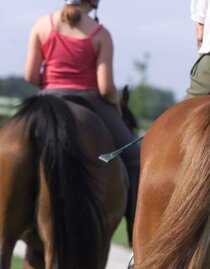 On the back of the horses | © Kurkommission Bad Blumau/A. Bruckner | A. Bruckner | © Kurkommission Bad Blumau/A. Bruckner