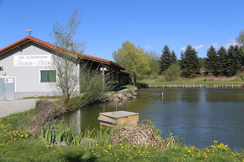 Picnic on the locker pond in st. ruprecht on the raab  - Impression #1
