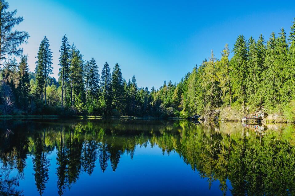 Podolerteich - Impression #1 | © Tourismusverband Murau