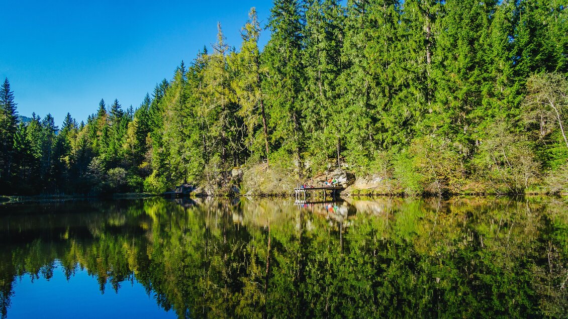 Podolerteich Pond - Impressionen #2.1