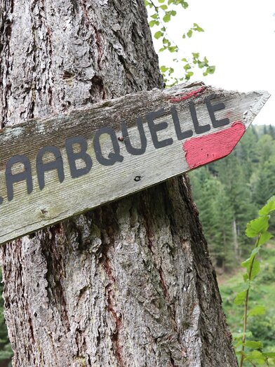 Raaburspung Signpost_Eastern Styria | © WEGES | © WEGES