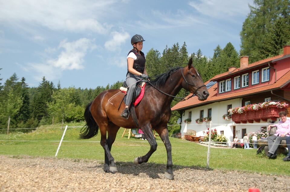 Riding farm at the Steinerhof - Impression #1