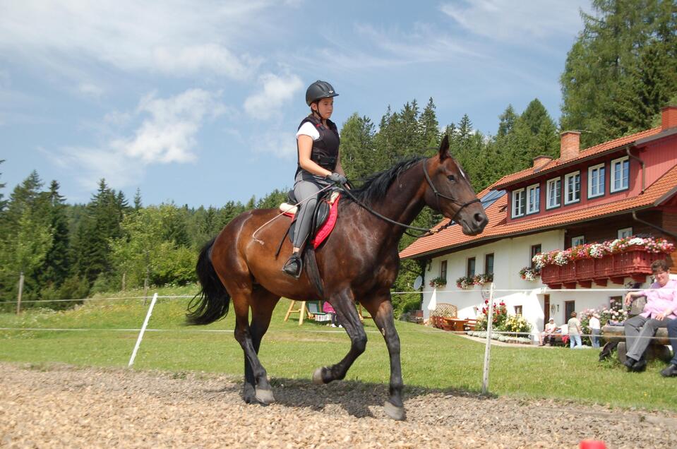 Reitbauernhof am Steinerhof - Impression #1 | © Reitbauernhof am Steinerhof