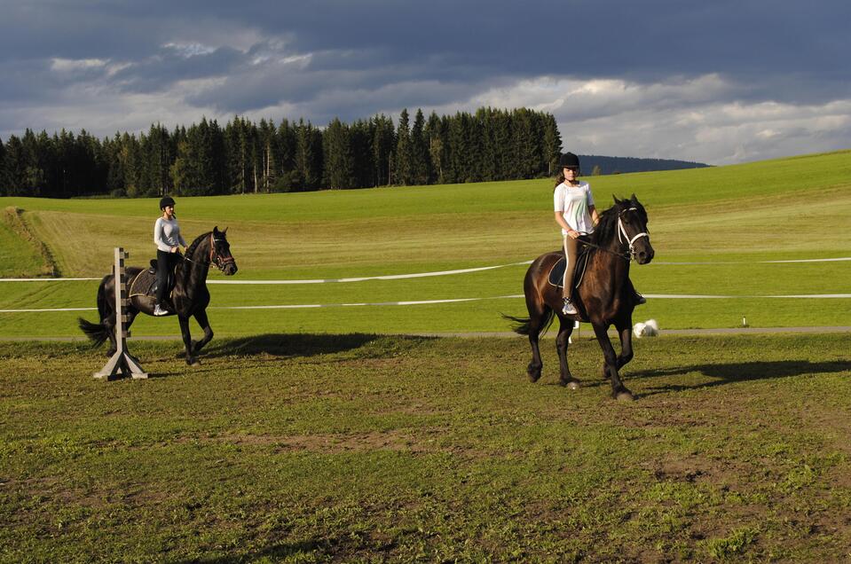 Reitbauernhof beim Gasthof Seeblick - Impression #1