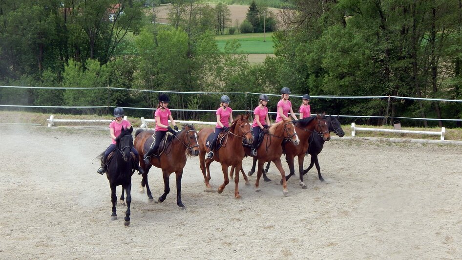 Reitclub Georgsberg - Impression #2.3
