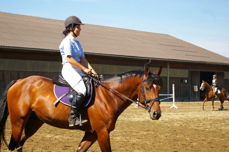 Reitclub Sachendorf - Impression #1 | © RC Sachendorf