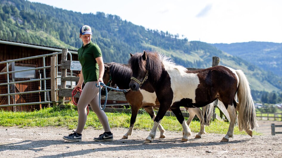 Reiten am Olachgut | © Tourismusverband Murau