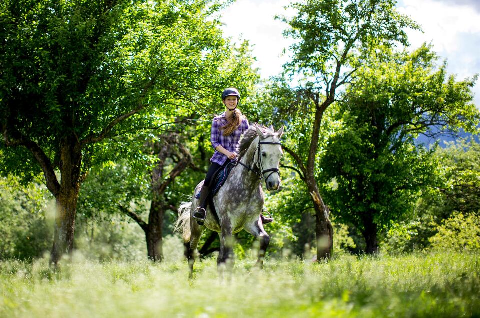 Reiten am Schieferbauernhof - Impression #1 | © TVB Murau