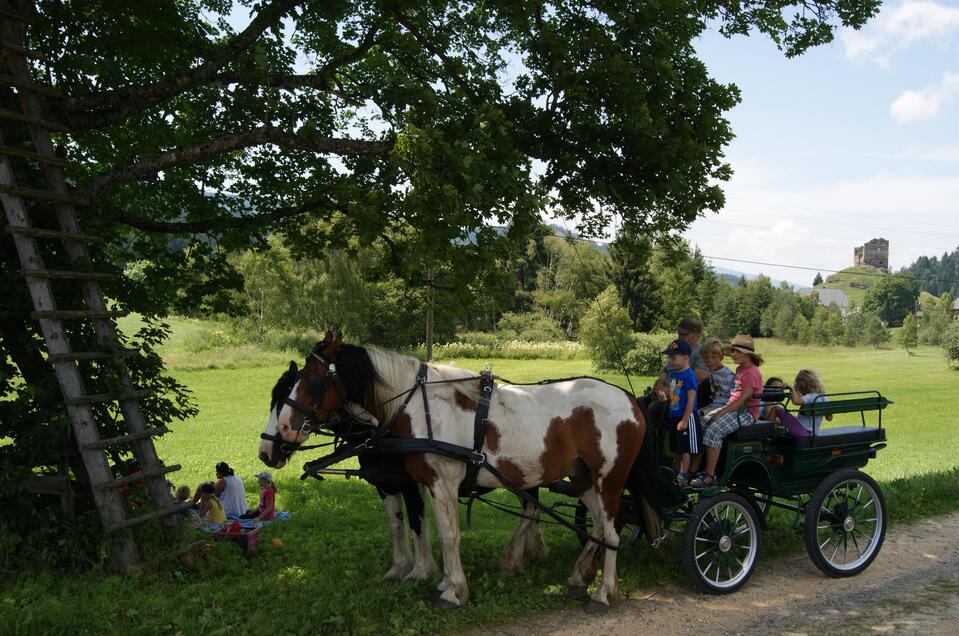 Reiten beim Gasthof Leitner - Impression #1 | © Tourismusverband Murau