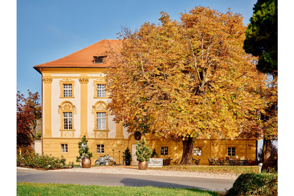 Hofwirt - Impression #1 | © Tauroa GmbH