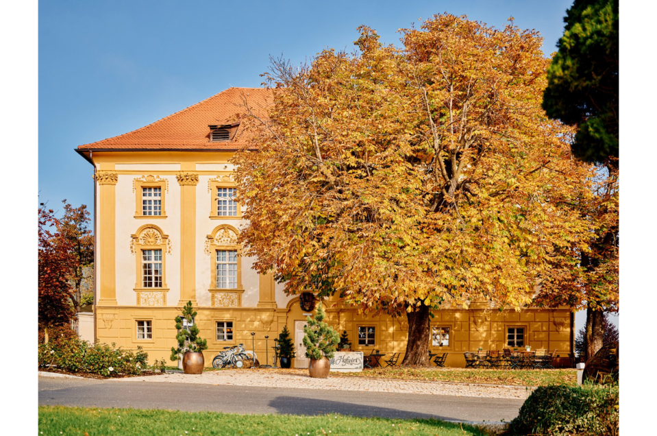 Restaurant  Hotel Hofwirt - Impression #1 | © Tauroa GmbH