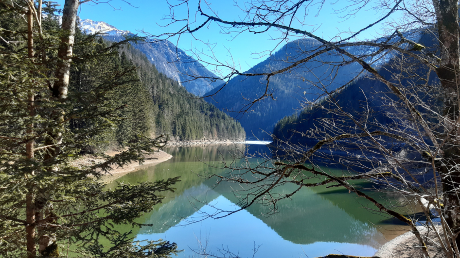 Salza Stausee, Bad Mitterndorf, Frühling | © Daniela Casari