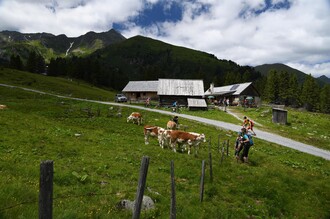 Scheiblalm-Hohentauern-Murtal-Steiermark | © Erlebnisregion Murtal