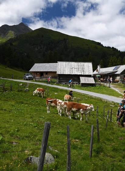 Scheiblalm-Hohentauern-Murtal-Steiermark | Herbert Raffelt | © Erlebnisregion Murtal