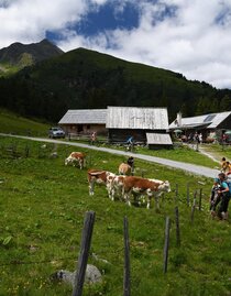 Scheiblalm-Hohentauern-Murtal-Steiermark | © Erlebnisregion Murtal | Herbert Raffelt | © Erlebnisregion Murtal